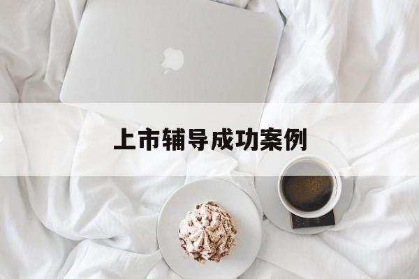 上市辅导成功案例(上市辅导成功后肯定会上市吗)庆阳市